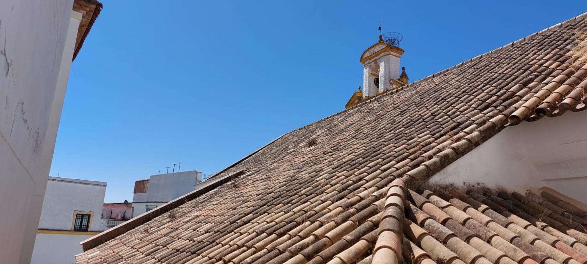 Tejar De San Basilio Apartment Kordoba Bagian luar foto